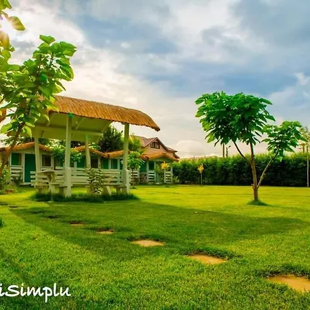 Pur Si Simplu Adults Only