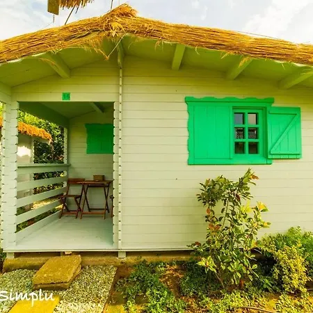 Pur Si Simplu Adults Only