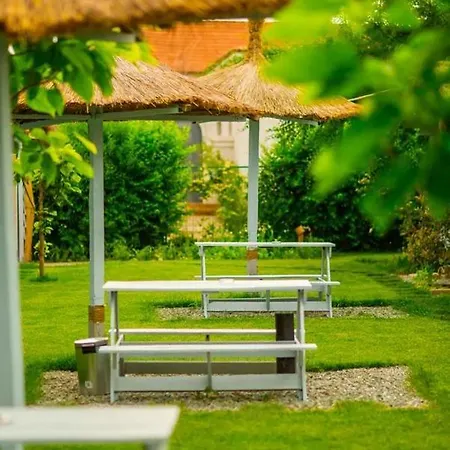 Pur Si Simplu Adults Only