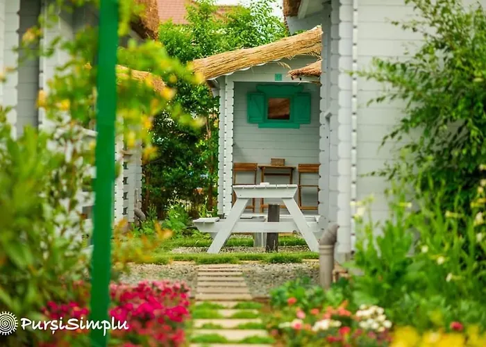 Pur Si Simplu Adults Only